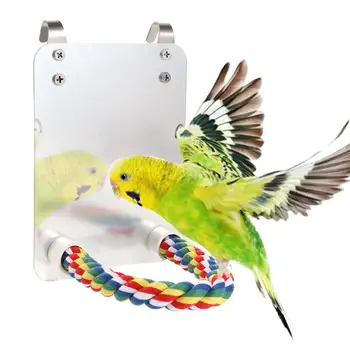 Lovebirds Conure akril kötélketrec kiegészítőkkel Sügér állvány Brid Tükör Papagáj játékok Swing