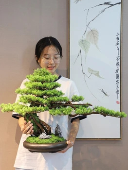 Szimuláció üdvözlő fenyődíszek tömörfa nappali veranda B&B iroda hotel bonsai zöld növény dekorációk