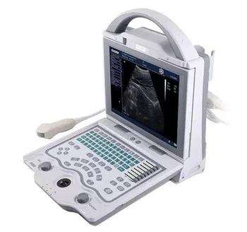 Rendkívüli hordozható állatorvosi ultrahang szkenner / Tiszta kép laptop állatorvos ultrahang berendezés B40VET-P