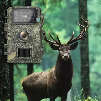 4640x3488 Trail kamera hordozható videokamera videóhoz túrázás otthoni biztonság